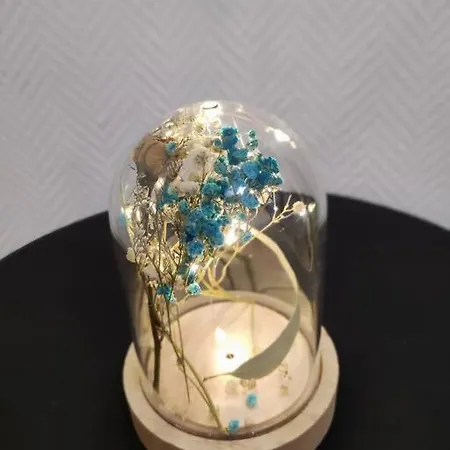 - 1 - Moderne 5 Pers T3 73m2 Apartment *