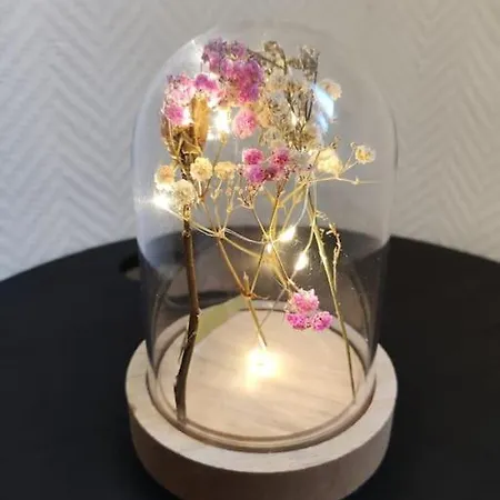 - 1 - Moderne 5 Pers T3 73m2 *