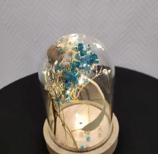 - 1 - Moderne 5 Pers T3 73m2 Apartman *