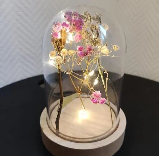 - 1 - Moderne 5 Pers T3 73m2 *